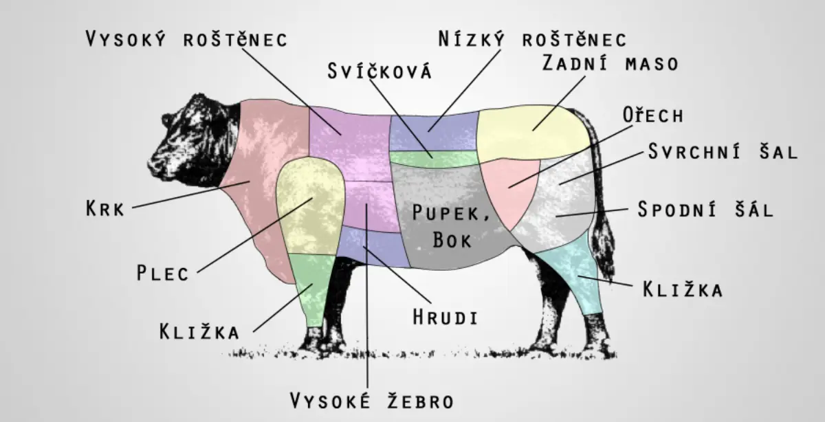 Diagram hovězích řezů — vysoký roštěnec, svíčková, zadní maso, ořech, šál, krk, plec, kližka, hrudí, žebro